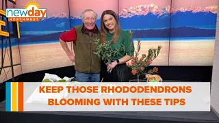 Keep those Rhododendrons blooming with these tips - New Day NW