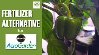 AeroGarden Fertilizer Alternative - Inexpensive!
