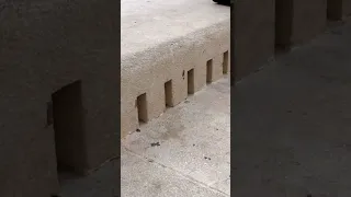 The Sea Makes its Own Music on Zadar Sea Organ!