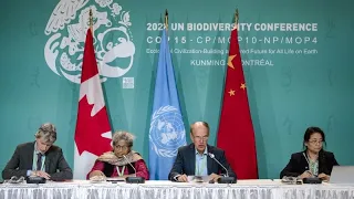 Negotiators agree to historic biodiversity deal at COP15