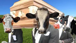 COWS - coffin dance song (COVER)