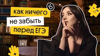 КАК НИЧЕГО НЕ ЗАБЫТЬ ПЕРЕД ЕГЭ ПО ОБЩЕСТВОЗНАНИЮ 2023?  | Курс Рефреш