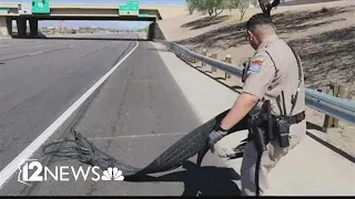 'Secure your load' campaign kicks off in Arizona