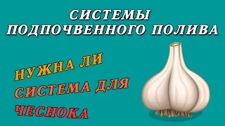 Система подпочвенного полива для выращивания чеснока! Плюсы и минусы подпочвенного полива!