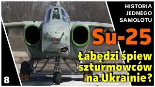 SU-25  -  Dogorywający szwej na froncie Ukraińskim - Historia jednego samolotu