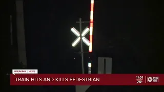 1 dead following train vs pedestrian crash in Hillsborough County