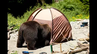 Hilarious camping fails | funny fails