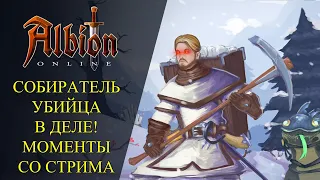 Albion online : СОБИРАТЕЛЬ - УБИЙЦА : МОМЕНТЫ СО СТРИМА