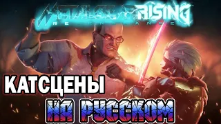 РАЙДЕН И АРМСТРОНГ РЕШИЛИ ВОПРОСЫ | METAL GEAR RISING