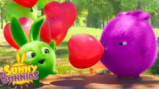 SUNNY BUNNIES - Heart Balloons | Season 3 | Cartoons for Children