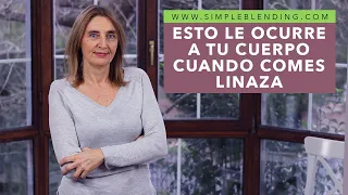 ESRTO LE PASA A TU CUERPO CUANDO TOMAS SEMILLAS DE LINO | Debes conocer las propiedades de la linaza