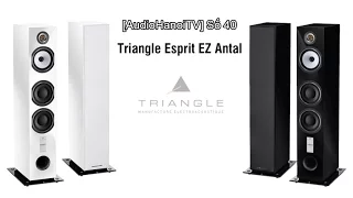 Tìm hiểu loa Triangle Esprit EZ Antal | AudioHanoiTV 40