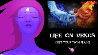 Meet Your Twin Flame - Music Only