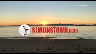 Welcome to Simons Town