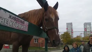 ЗООПАРК В ОКТЯБРЕ