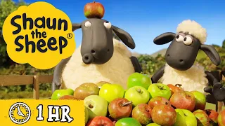 Shaun the Sheep Season 4 🐑 All Episodes (21-30) 🤪 Role Play & The Crazy Goat 🐐 Cartoons for Kids