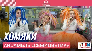 Ансамбль Семицветик - Хомяки (LIVE на Детском радио)
