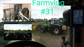 Farmvlog:#31 der zweite Schnitt und das liebe Vieh