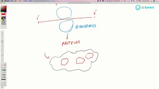 COVID-19 Insights: Remdesivir Mechanism of Action