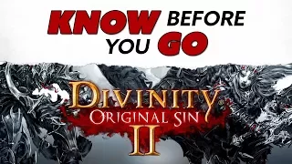 Know Before You Go... Divinity: Original Sin II