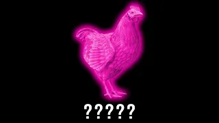 15 Chicken "Bawk" Sound Variations in 40 Seconds | MODIFY EVERYTHING