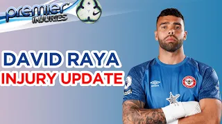 Premier League Injury News | David Raya Injury Update | Brentford Injuries | FPL TIPS Gameweek 10