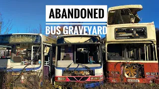 Bus graveyard - abandoned