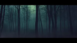 Dark Forest