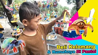 Main Di Pantai Beli Keong Kelomang & Rumah Hias Bentuk Perahu Baling Baling