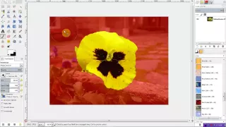 Gimp 2.8 Tools Tutorial - How to use Selection Tools