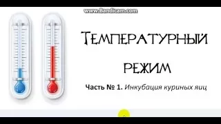 Инкубационный режим куриных яиц - (часть 1)