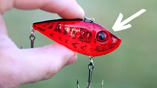 You Can't BEAT These 5 January LURES