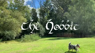 The Hobbit | J.R.R. Tolkien - Relaxing Book Summary