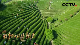 美丽中国：生态兴则文明兴，美丽中国赢得世界掌声 | CCTV「敢教日月换新天」第20集