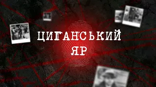 СЛІДЧОГО НАСТОРОЖУВАЛА ОСОБЛИВА ЖОРСТОКІСТЬ ЗЛОЧИНУ: ЧИ МОГЛИ ДО ЦЬОГО БУТИ ПРИЧЕТНІ ЦИГАНИ | ВЕЩДОК