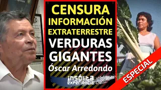 IMPACTANTE I VERDURAS GIGANTES. ¿Conocimiento EXTRATERRESTRE de Valle de Santiago? OSCAR ARREDONDO