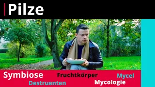 Pilze: Merkmale, Wachstum und Krankheiten – Biologie | Duden Learnattack