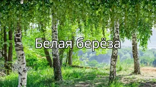 Белая береза