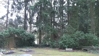 hamburg friedhof ohlsdorf  bürgermeister burchard   remix