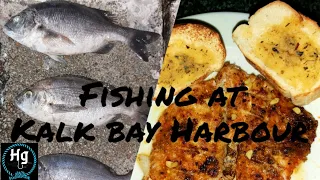 Fishing at KALK BAY HARBOUR{Catch&Cook} *Hottentot*