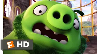 The Angry Birds Movie - Save That Egg! Scene | Fandango Family