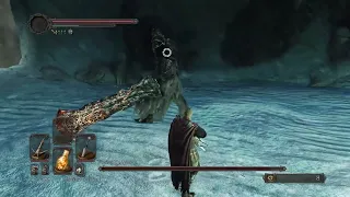 Dark Souls 2 - Fume Knight "Cheese" (Crossbow strat)