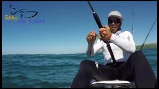 Reel Excitement- Couta (Spanish/king mackerel) time offshore on the paddle ski
