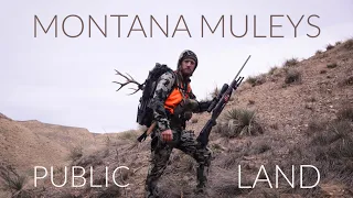 Mule Deer RUT HUNTING Montana! (Big BUCK Down!)