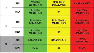 Molecular Monitoring In Chronic Myeloid Leukemia By Dr. Ankur Gupta