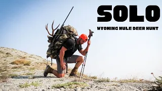 SOLO | Wyoming Mule Deer Hunt