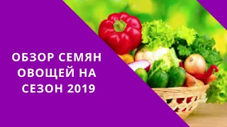 Обзор семян овощей на сезон 2019