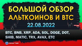 Обзор BTC, BNB, XRP, ADA, SOL, DOGE, DOT, SHIB, MATIC, TRX, AVAX, ETC на 22.08.2022