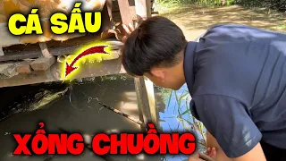 Quý11N Phát Hiện Có “Cá Sấu” Bị Xổng Chuồng Ở Ngoài Vườn Và Cái Kết Siêu Cay ???