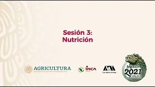 Sesión 3. Nutrición